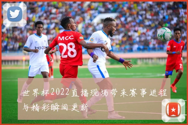世界杯2022直播现场带来赛事进程与精彩瞬间更新