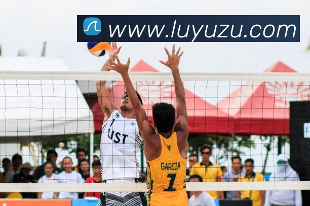 世界杯体育app官网APP 封面图